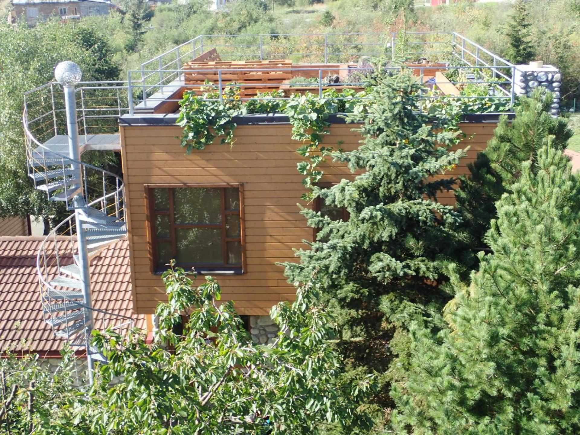 Family House - Apartmany Zuzana Stará Lesná Eksteriør billede
