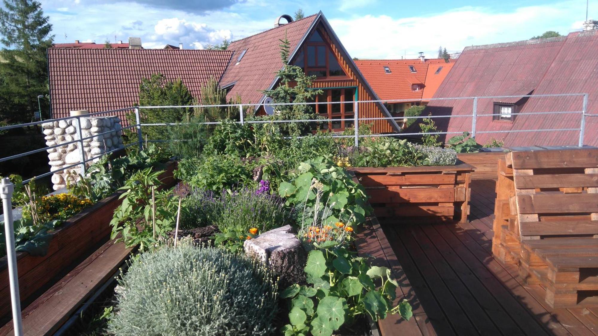 Family House - Apartmany Zuzana Stará Lesná Eksteriør billede