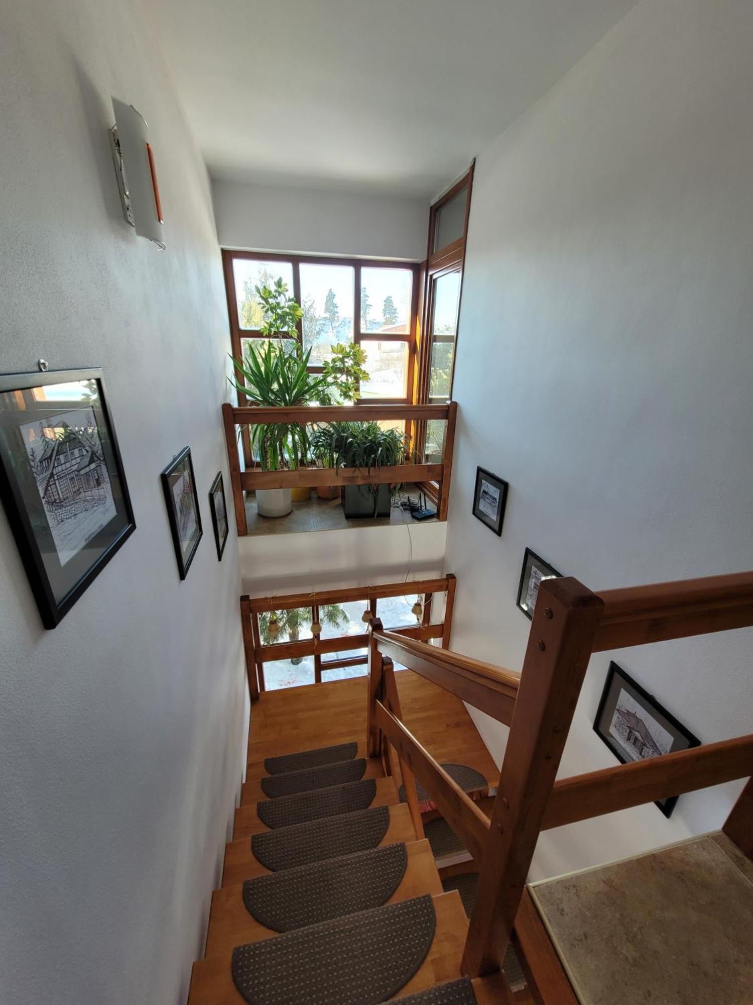 Family House - Apartmany Zuzana Stará Lesná Eksteriør billede